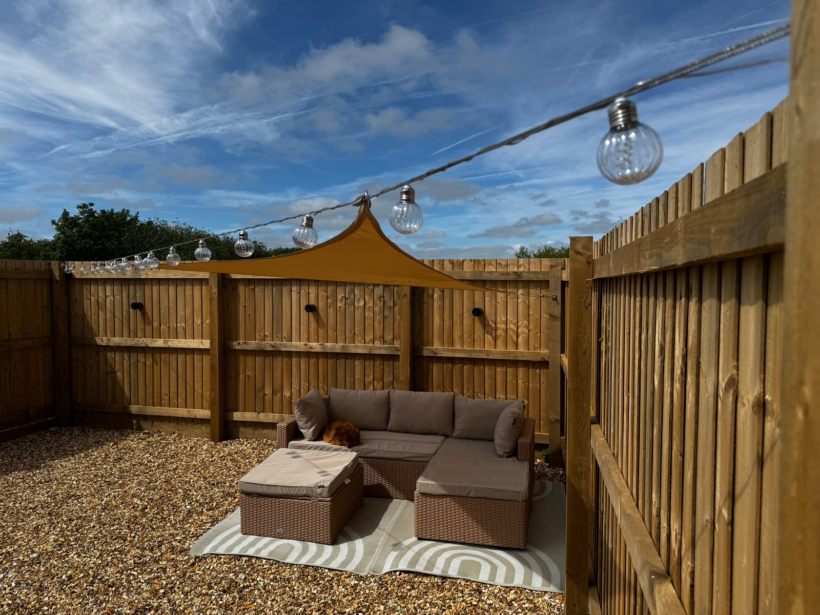 SPAN-KIT festoon lights close-up — wire rope catenary with globe bulbs