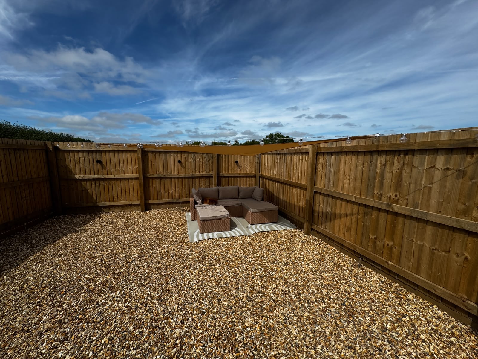 Garden overview — shade sail and string lights suspended across outdoor seating area